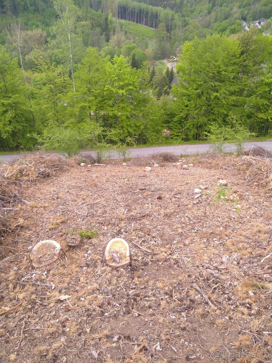 Prodej pozemek pro bydlení - Benešov u Semil, 512 06