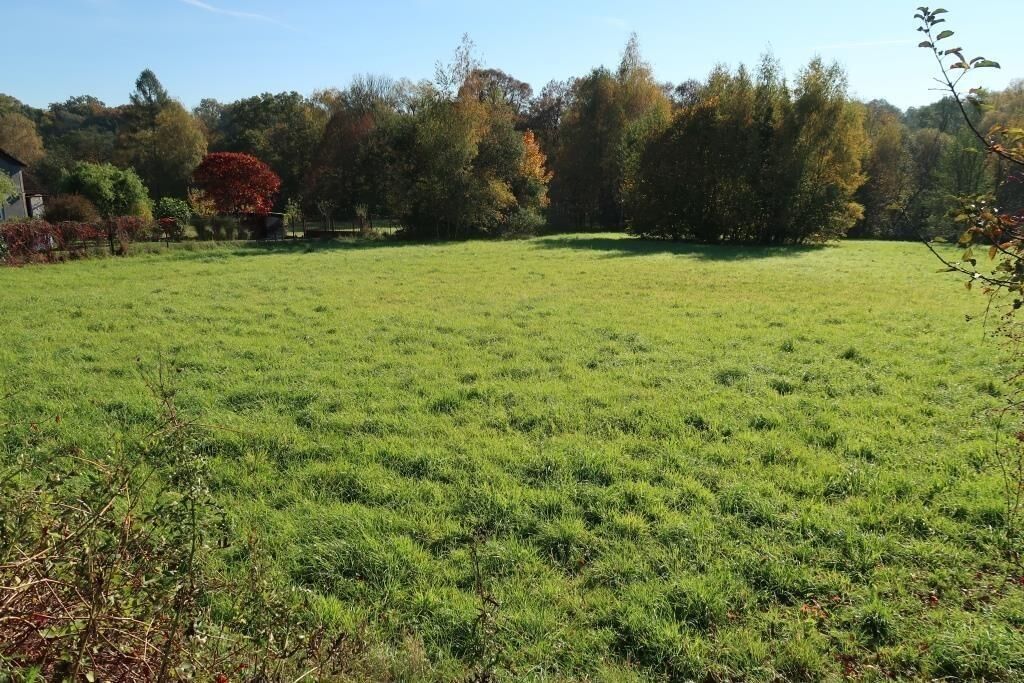 Pozemek · 8 786 m² · Orlovská  , Havířov Dolní Suchá - 3
