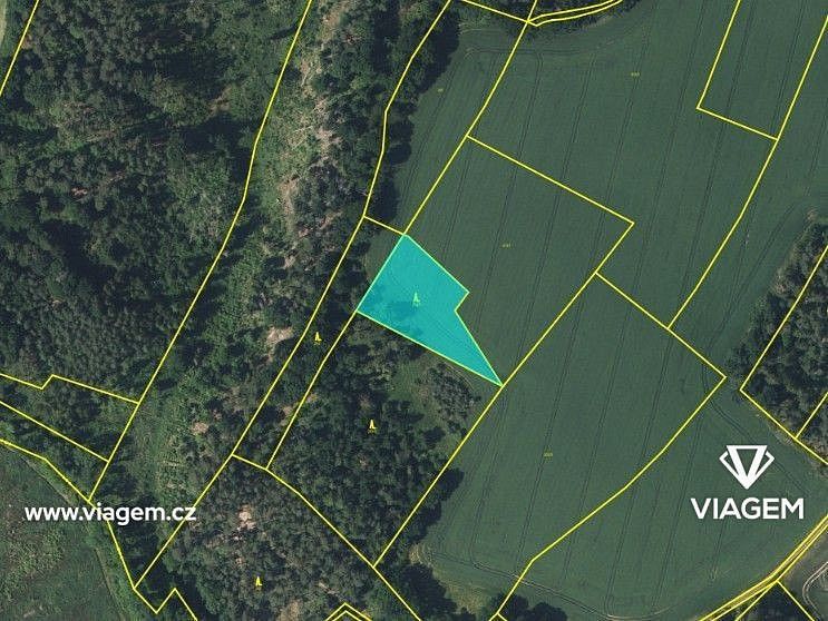 Zemědělské pozemky, Plužná, okres Mladá Boleslav, Středočeský kraj - 1
