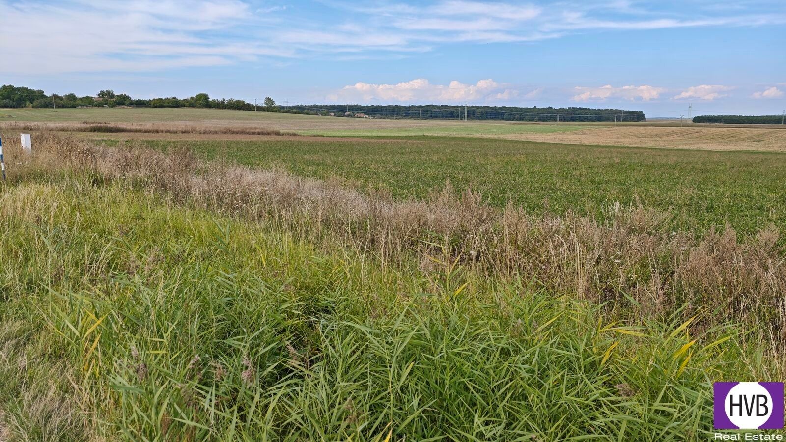 Prodej pozemek pro bydlení - Bělušice, 3 767 m² - 5