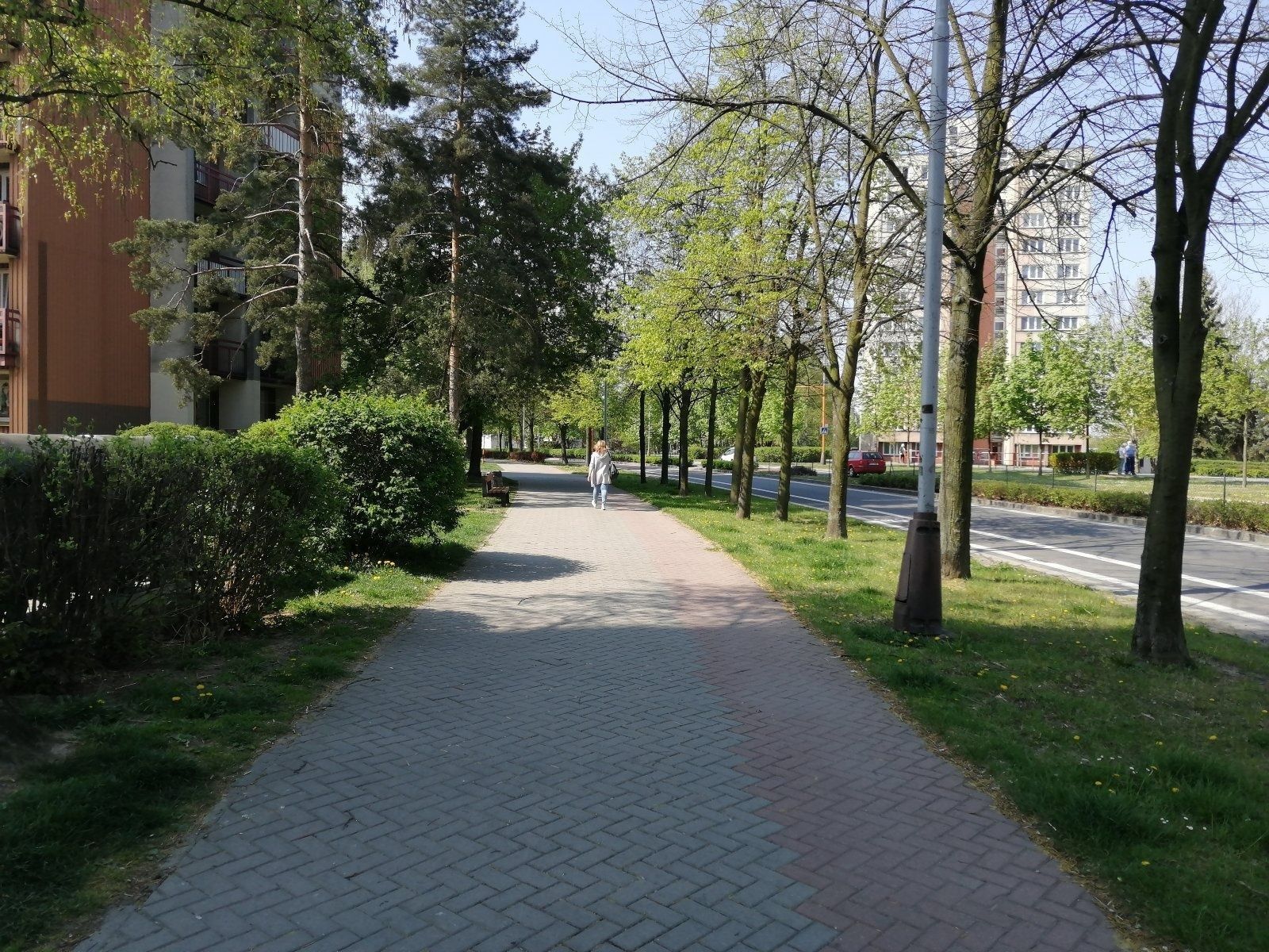 Obchodní prostory · 20 m² · Masarykova třída, Orlová - Horní Lutyně, Moravskoslezský kraj - 4