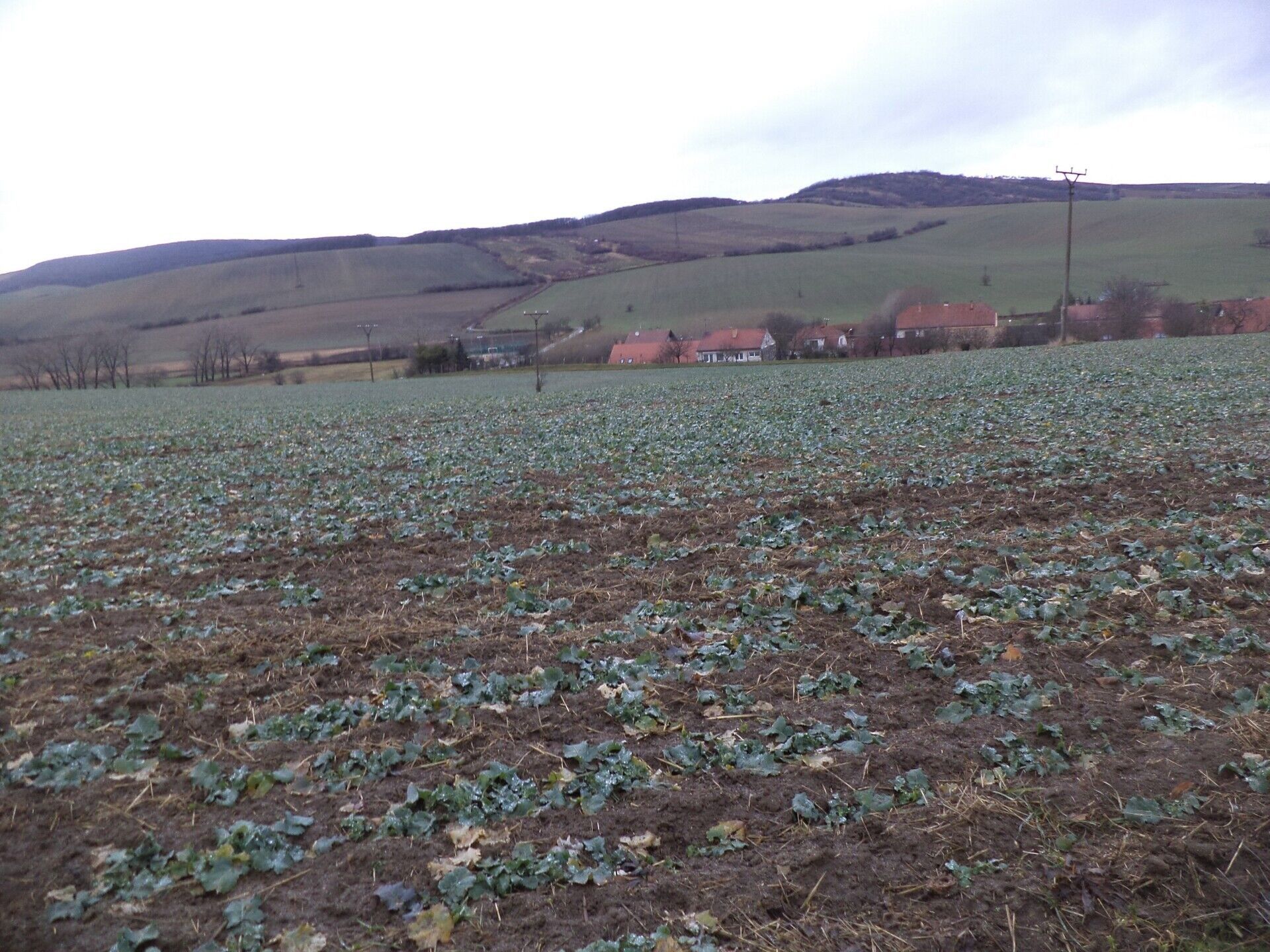 Pozemek · 6 867 m² · Morkůvky - 3