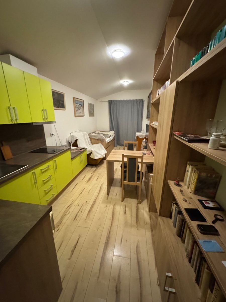 Byt 1+kk · 22 m² · U Hájku, Praha - Vinoř - 3