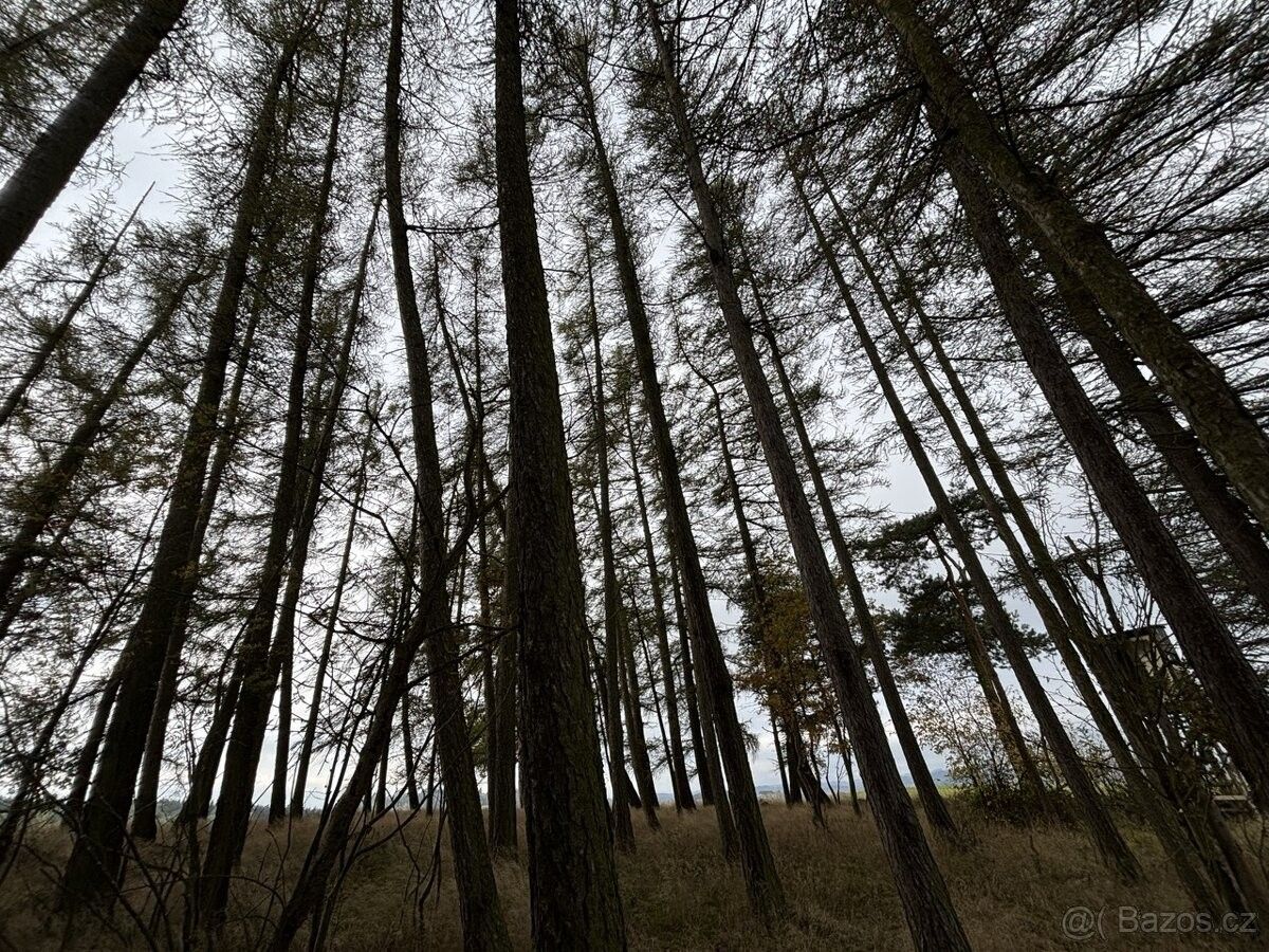 Prodej pozemek pro bydlení - Horažďovice, 341 01