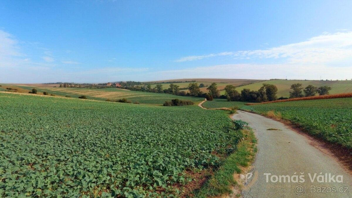 Pozemky pro bydlení, Želetice u Kyjova, 696 37