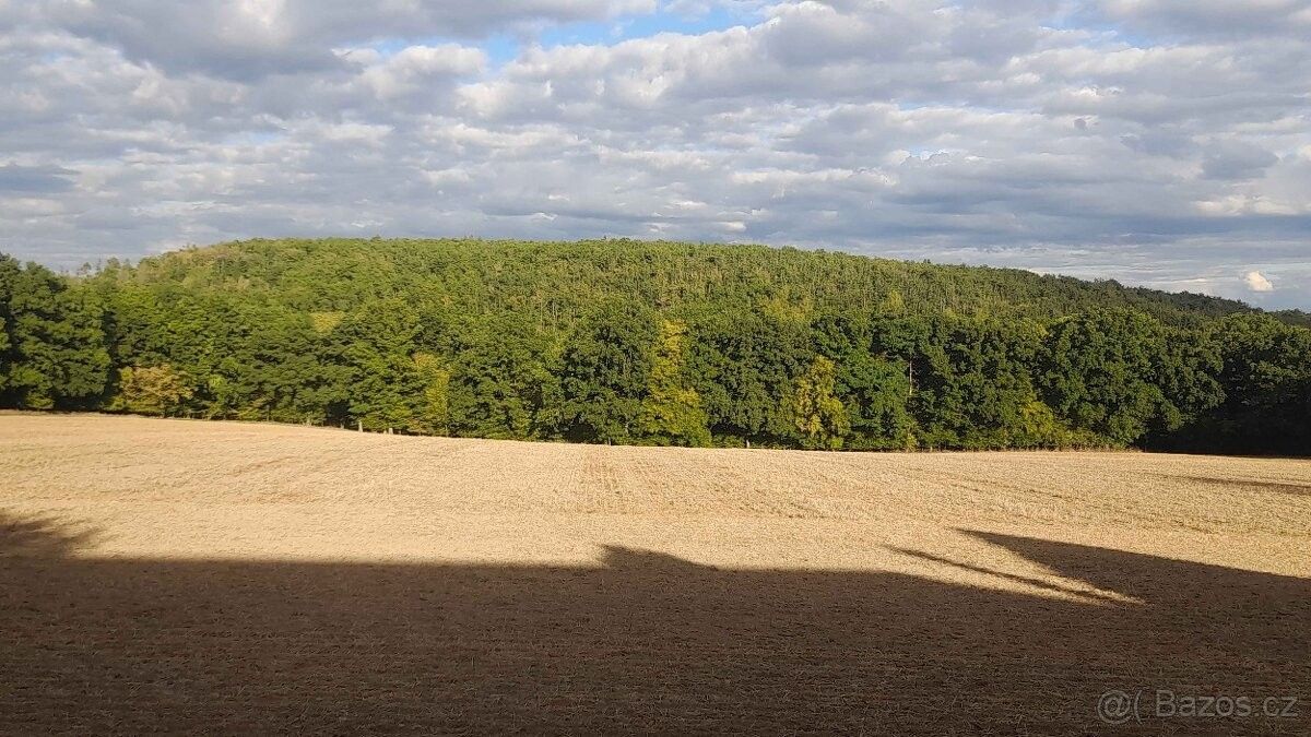 Pozemky pro bydlení, Zvole u Prahy, 252 45