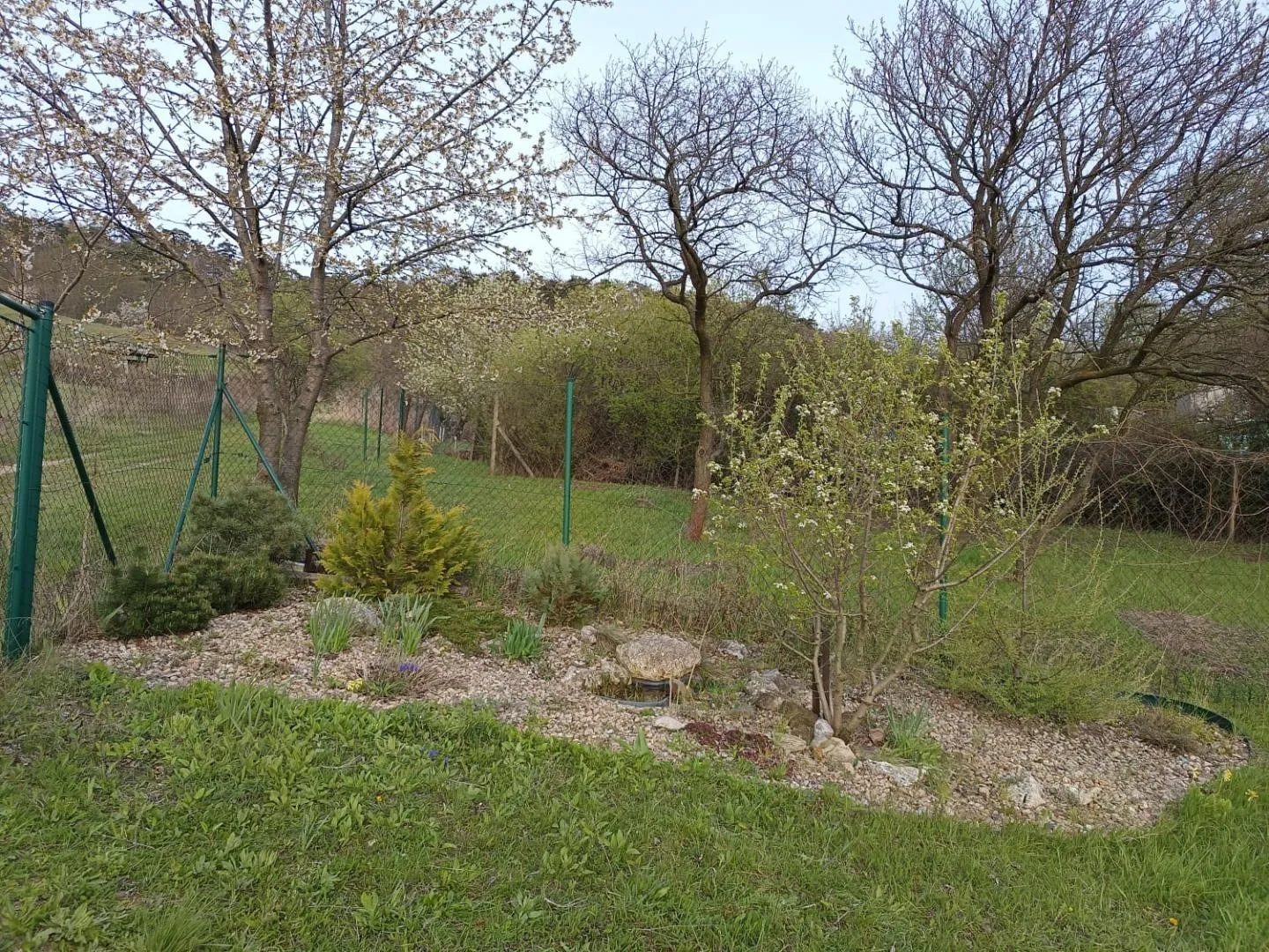 Ostatní