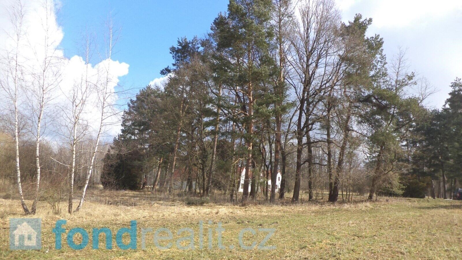 Pozemek · 2 131 m² · Lužnice - 3