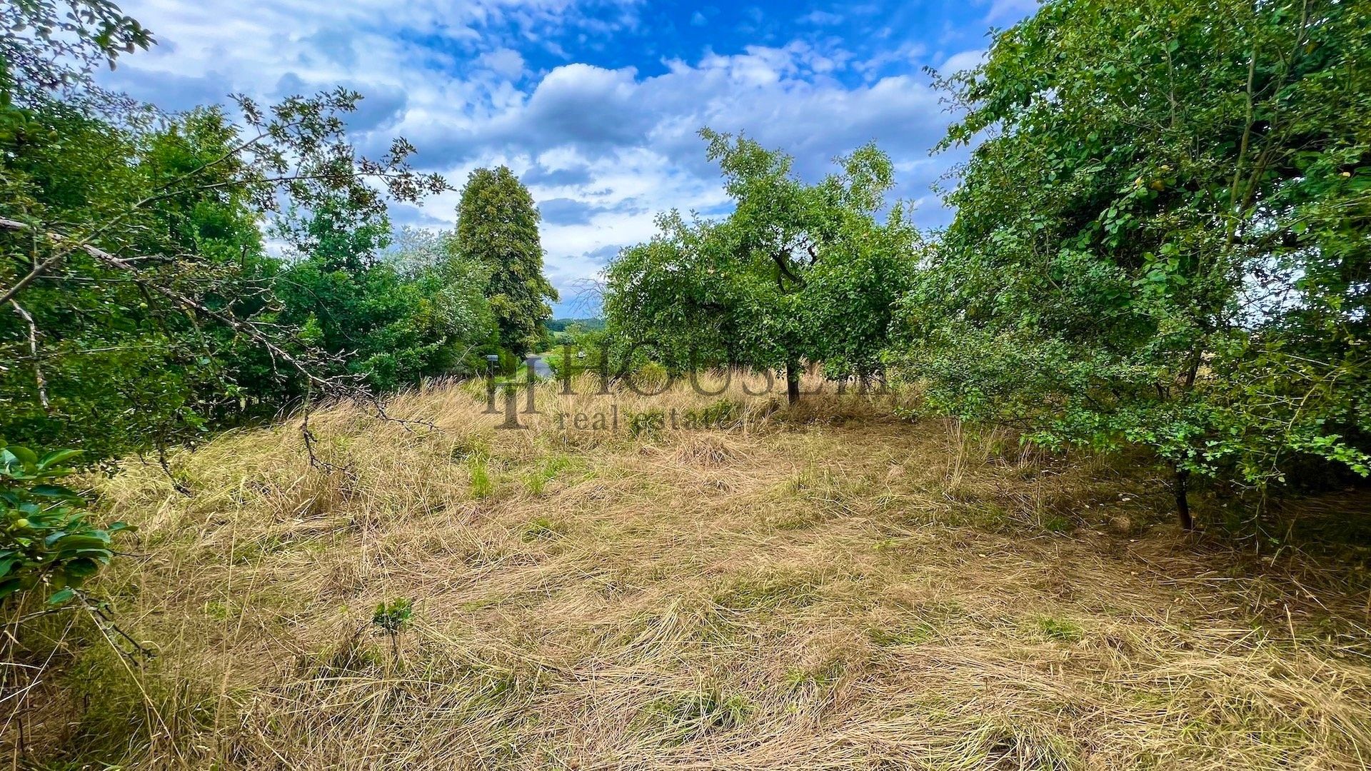 Pozemek pro bydlení · 2 410 m² · Malonice, Blížejov - 3