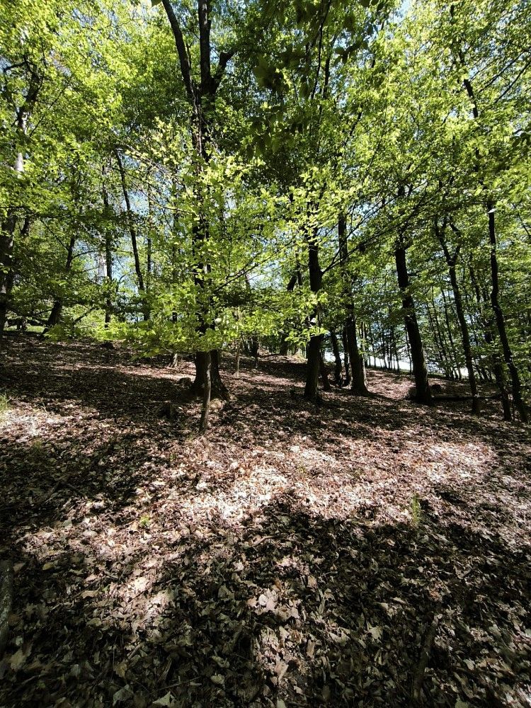 Les, 1 410 m²