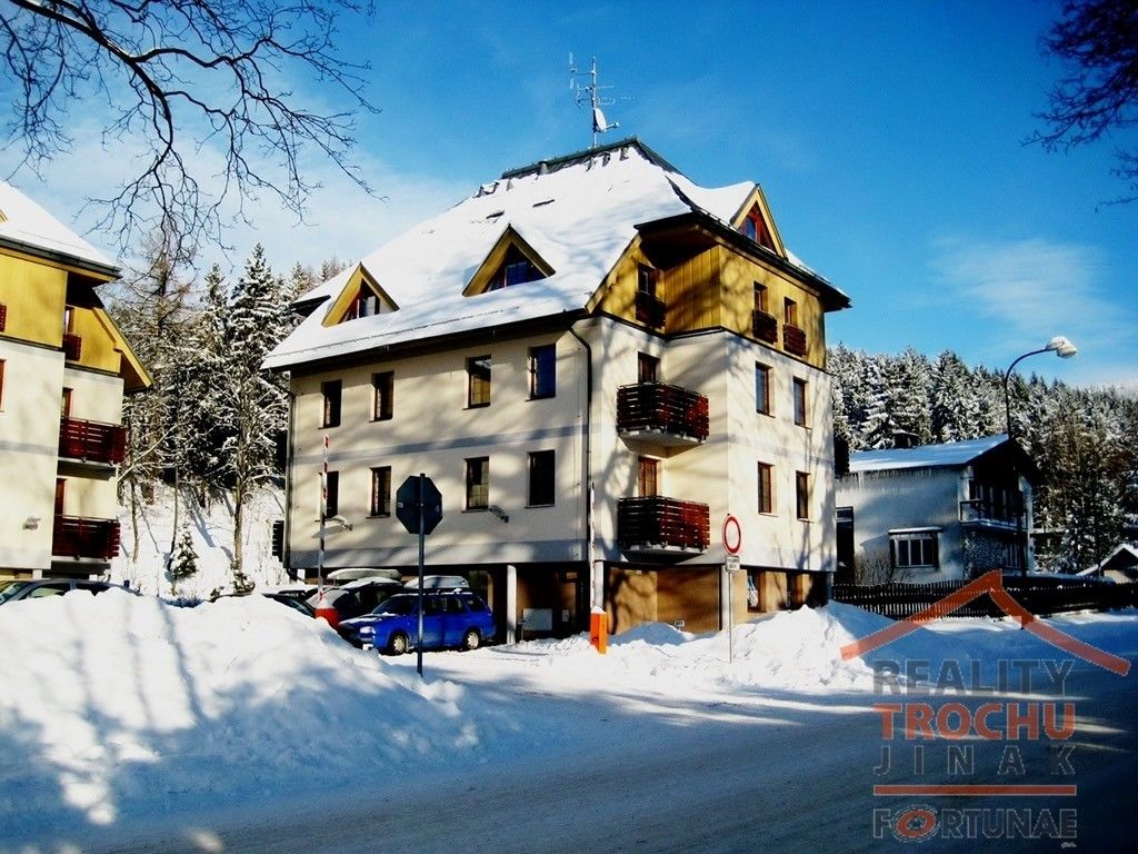 1+1, Deštné v Orlických horách, 31 m²