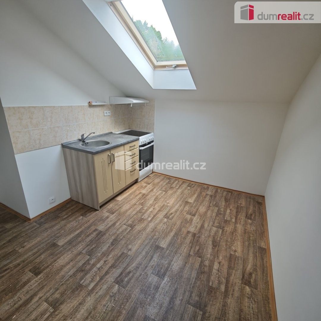 Byt 1+1 · 33 m² · Družstevní, Děčín - 3