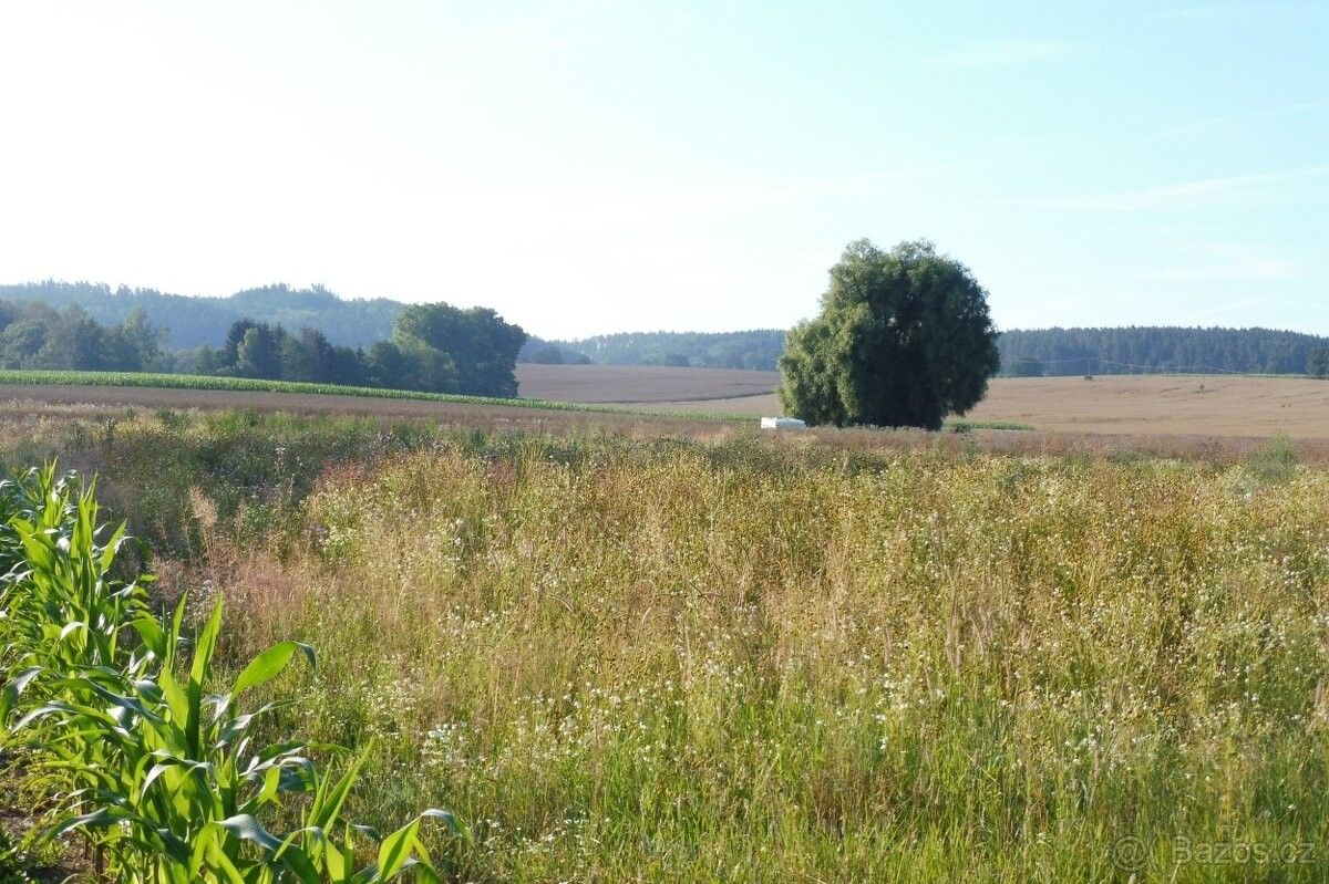 Prodej pozemek pro bydlení - Blatná, 388 01 - 5