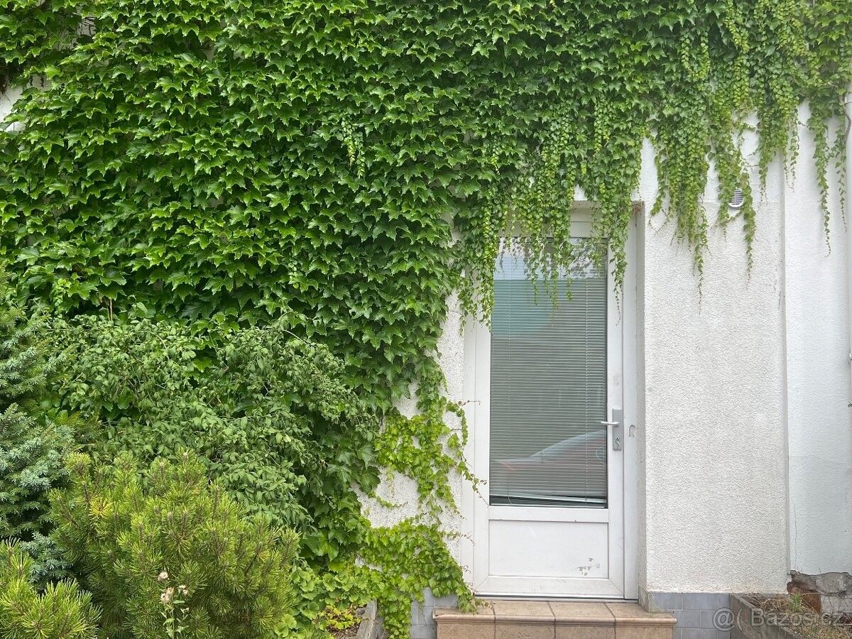 Byty, Holice v Čechách, 534 01