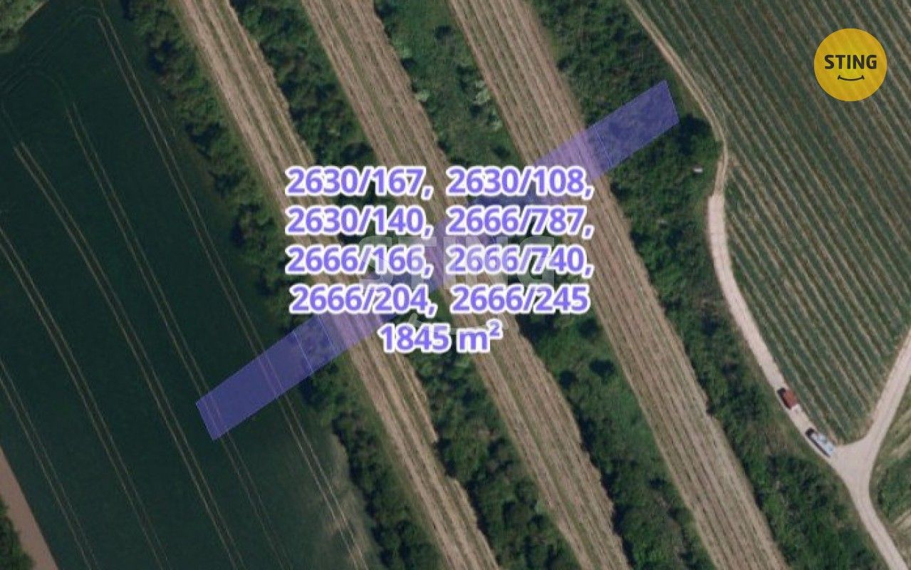 Zemědělské pozemky, Čejkovice, 3 674 m²