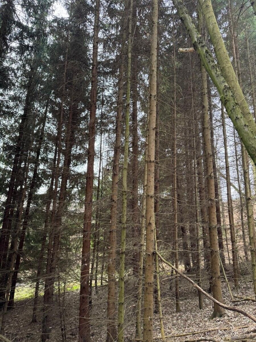 Stavební pozemek, Zábřeh – pohled 5
