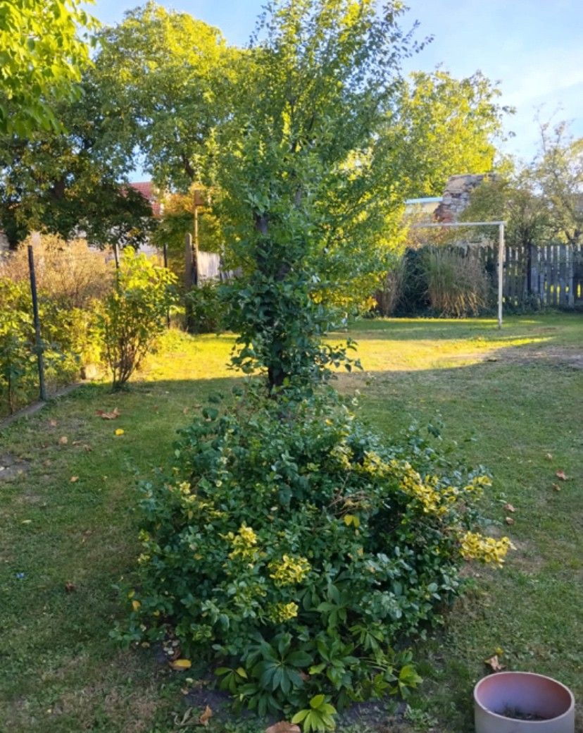 Rodinný dům · Kamenný Újezd, 373 81 - 3