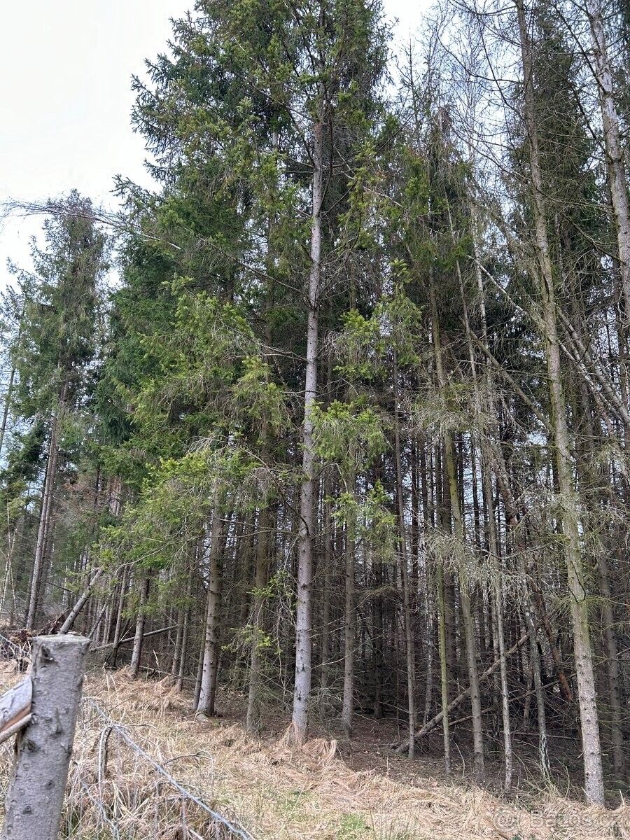 Lesy, Hustopeče nad Bečvou, 753 66, 4 357 m²