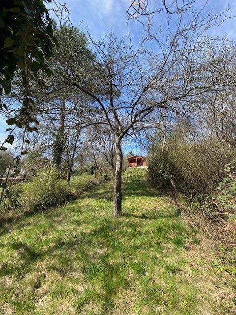 Zahrady, Brno, 637 00 - 2