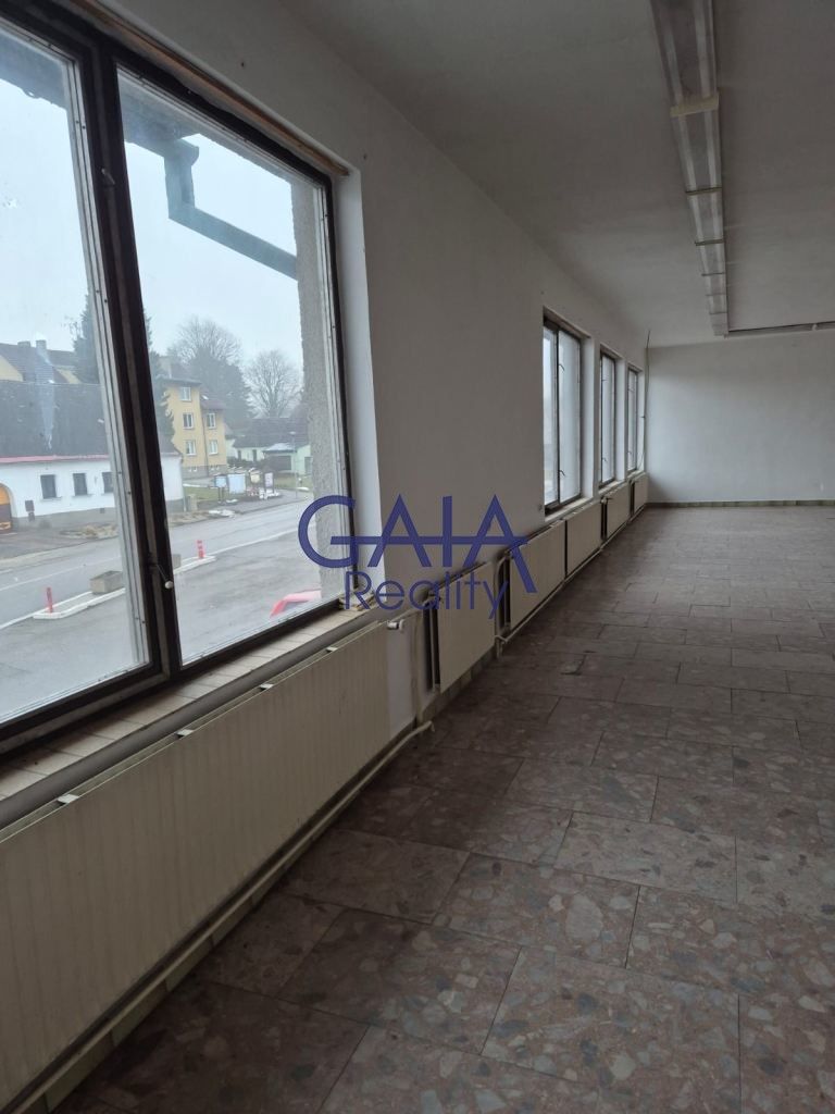 Obchodní prostory · 307 m² · Staré Město pod Landštejnem - 4