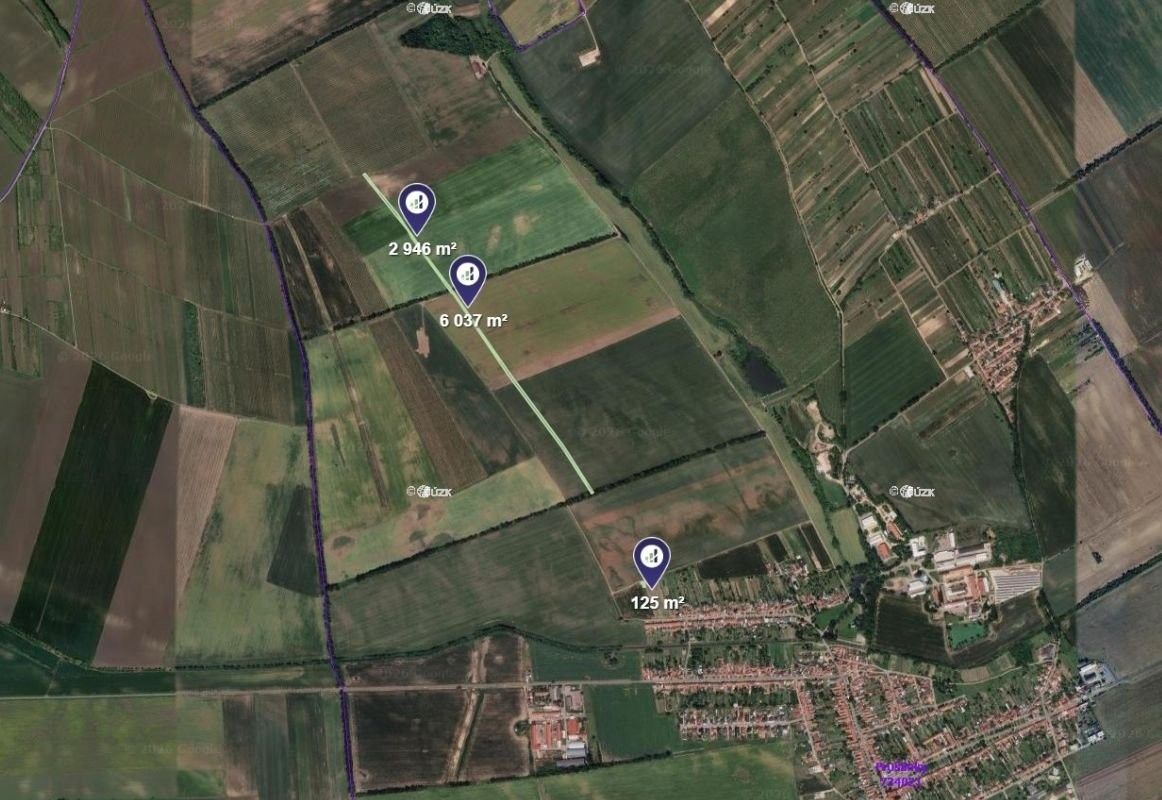 Zemědělský pozemek · Prušánky - 3