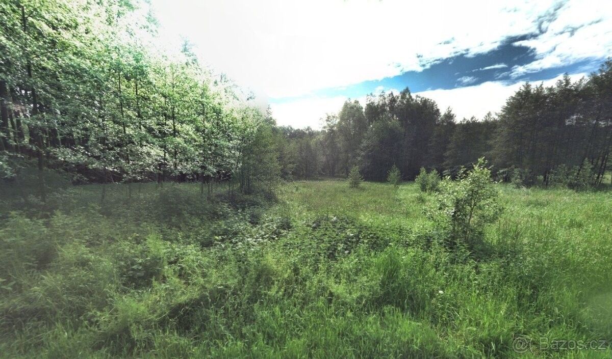 Pozemek pro bydlení · Dětmarovice, 735 71 - 4