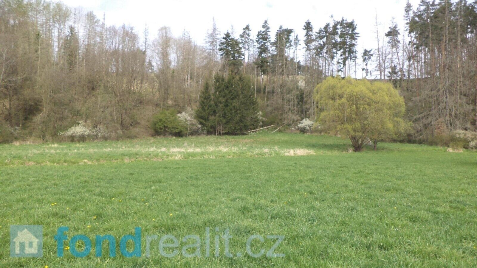 Pozemek · 2 759 m² · Dešná Dančovice - 3