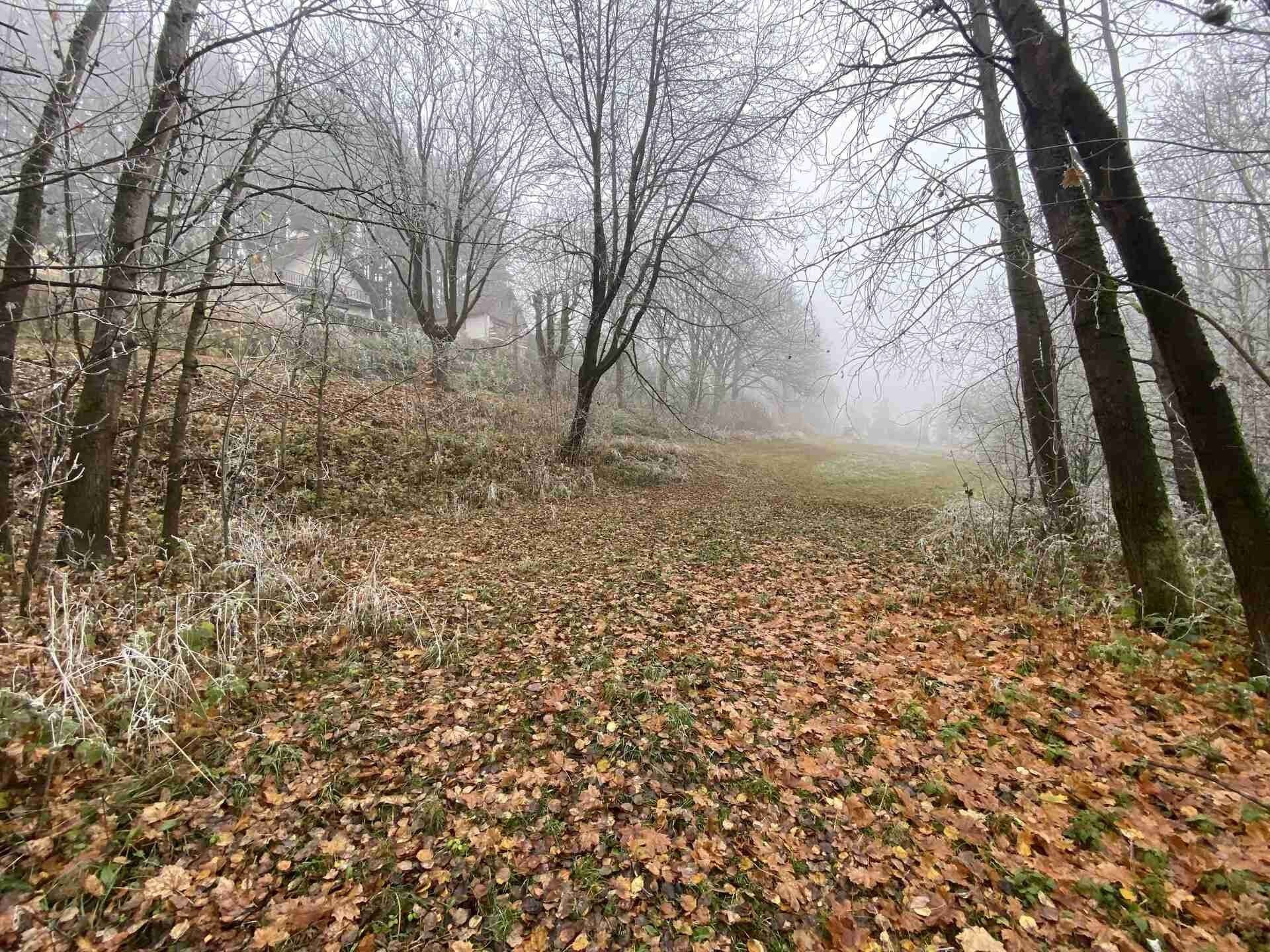 Pozemek pro bydlení · 1 210 m² · Stará Paka - 3