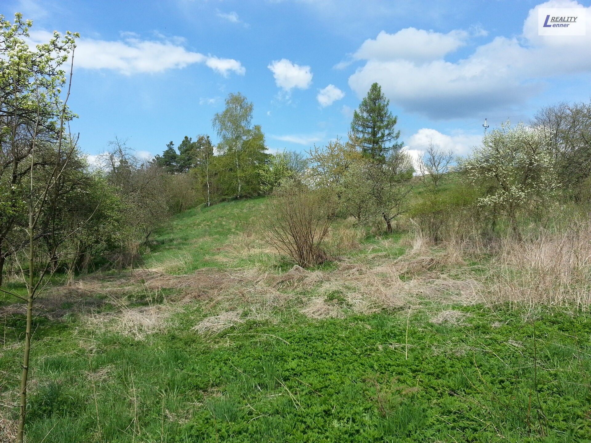 Prodej pozemek pro bydlení - Sedlčany Sestrouň, 4 736 m² - 5
