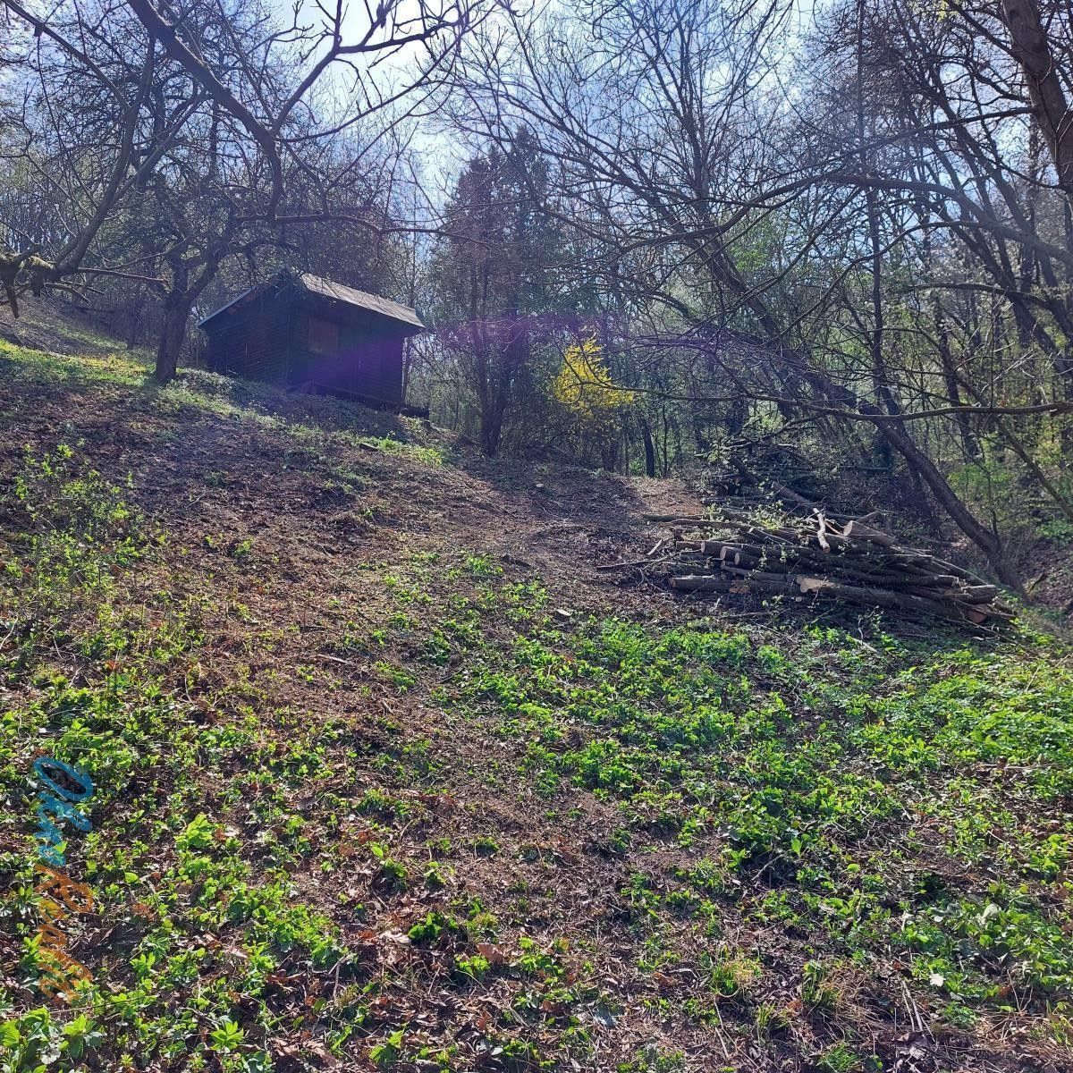 Pozemek pro bydlení · Soběšická, Bílovice nad Svitavou - 3