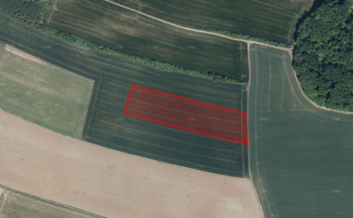 Prodej zemědělský pozemek - Bohuslavice