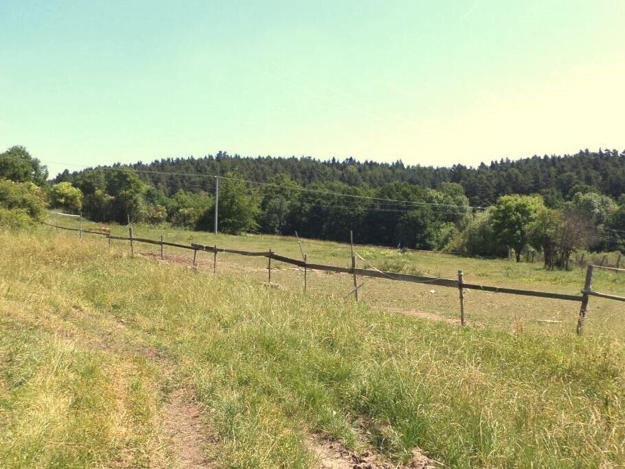 Prodej zemědělský pozemek - Držkrajov, Přeštěnice, 2 m²