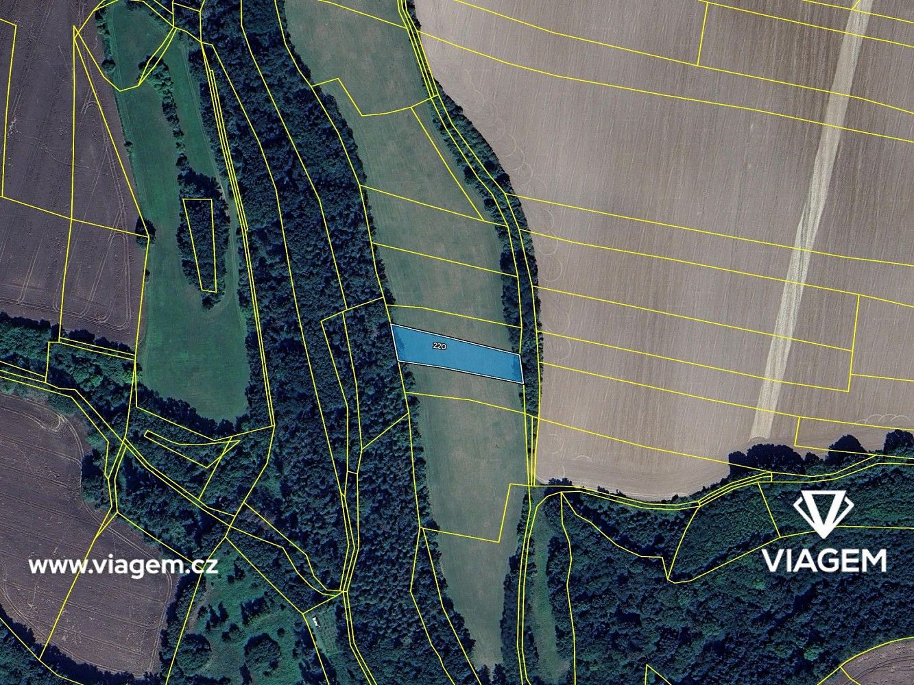 Zemědělský pozemek · Bukovno, okres Mladá Boleslav, Středočeský kraj - 4