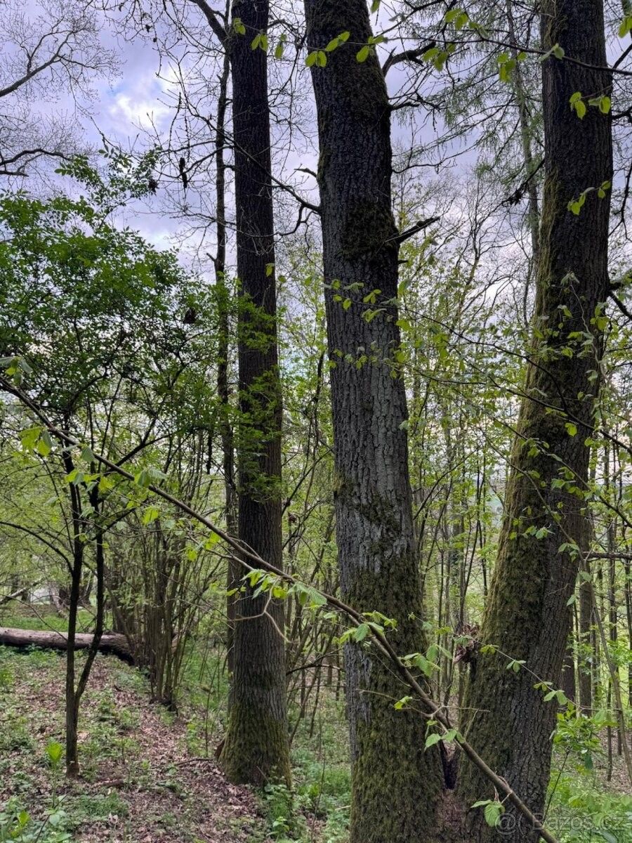 Pozemky pro bydlení, Milevsko, 399 01