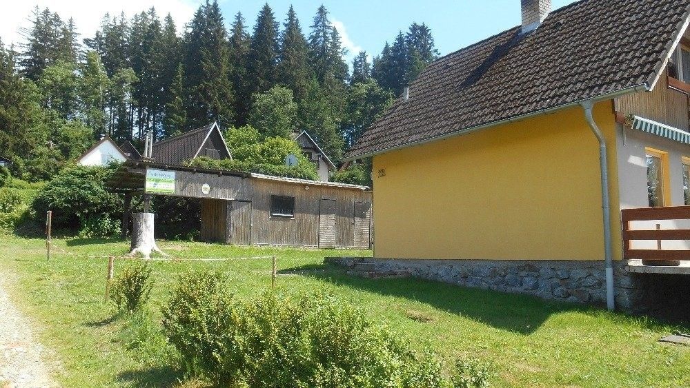 Prodej chata - Frymburk, 382 79