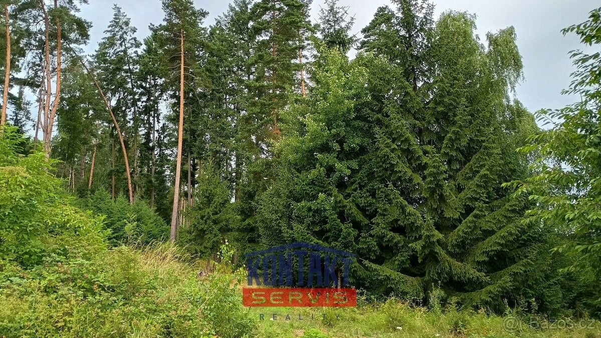 Prodej pozemek pro bydlení - Vlachovo Březí, 384 22