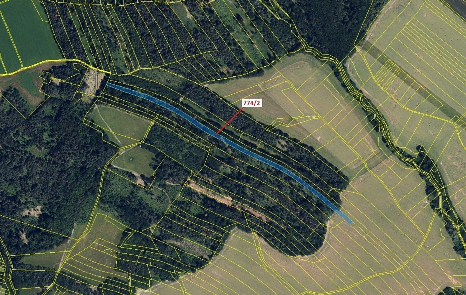 Prodej les - Přemyslovice, okres Prostějov, Olomoucký kraj - 2