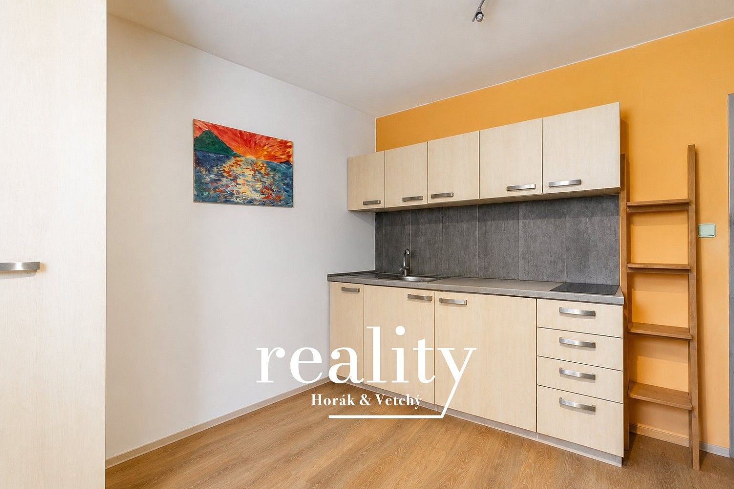 1+kk, Brno - Husovice, okres Brno-město, Jihomoravský kraj, 22 m²