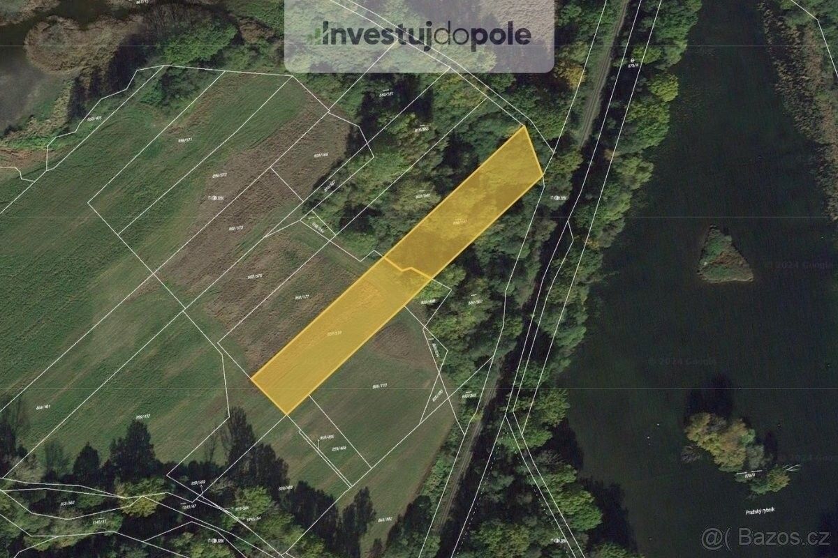 Prodej zemědělský pozemek - Veselí nad Lužnicí, 391 81, 5 985 m²