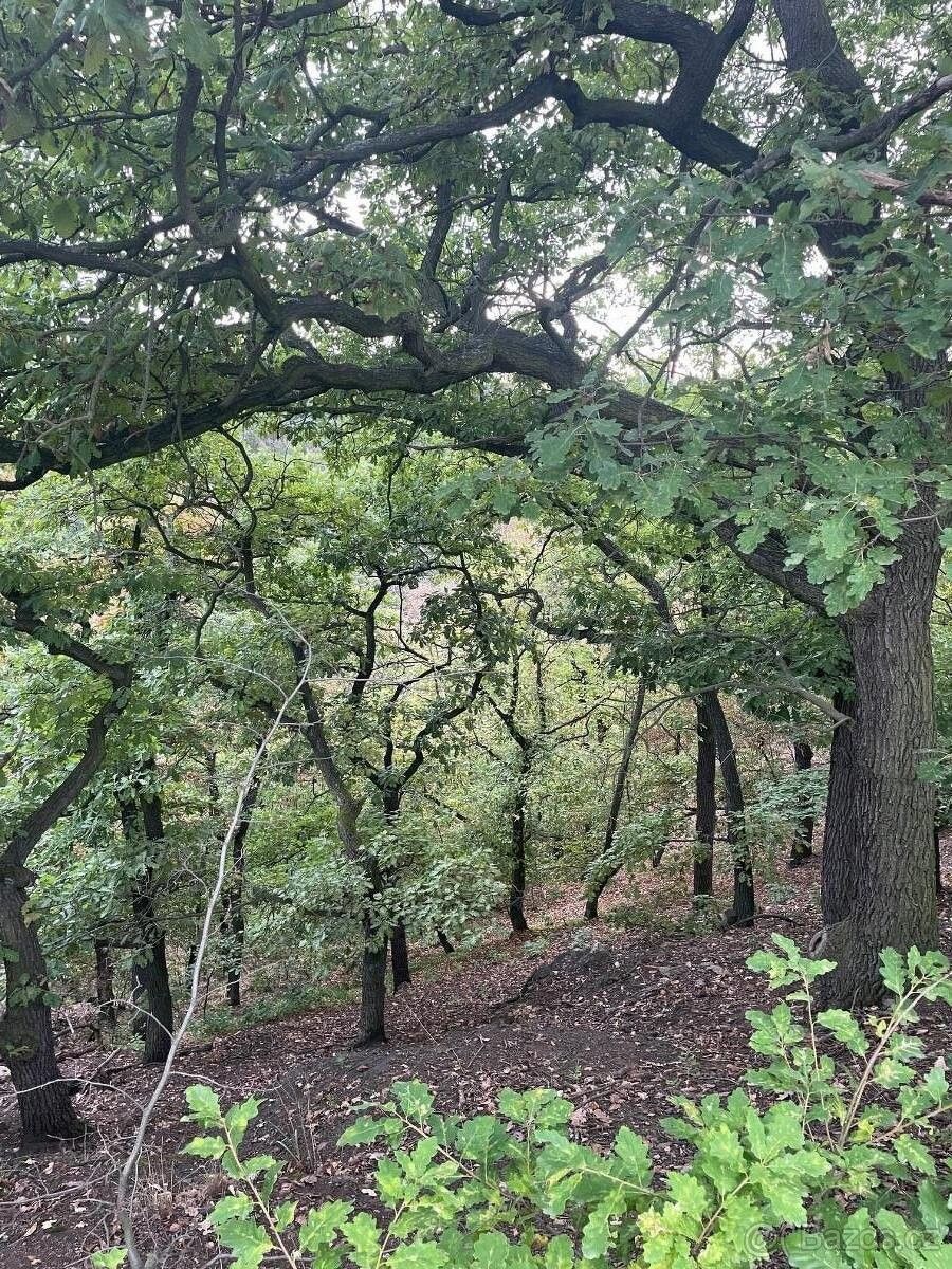 Pozemky pro bydlení, Bílina, 418 01