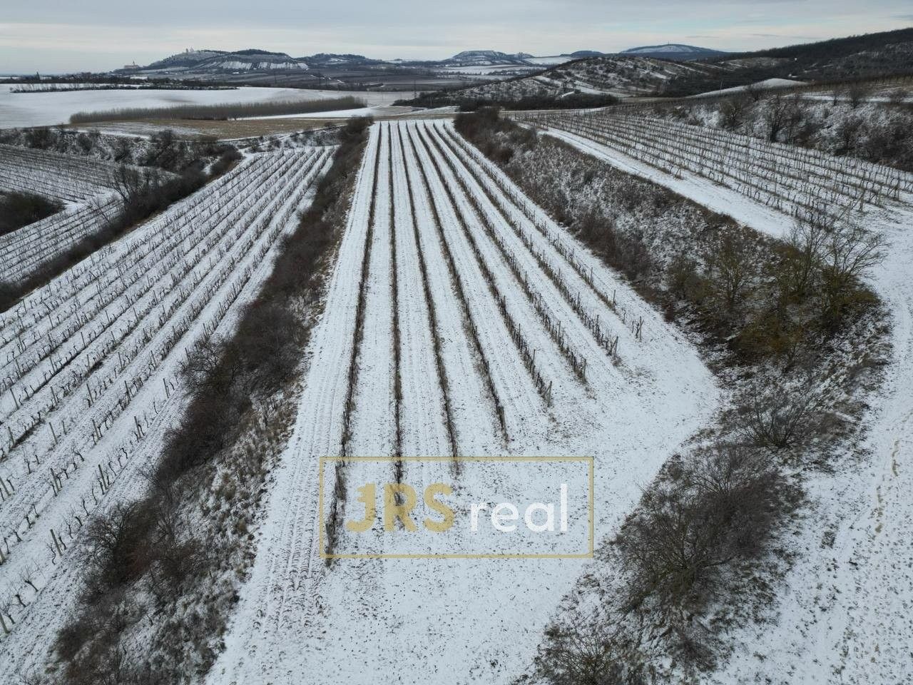 Zemědělské pozemky, Sedlec