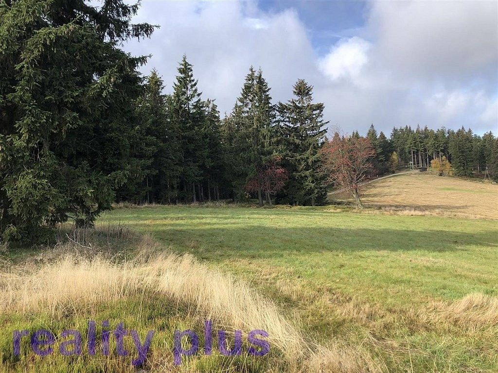 Louky, Bedřichov, okres Jablonec nad Nisou, Liberecký kraj - 2