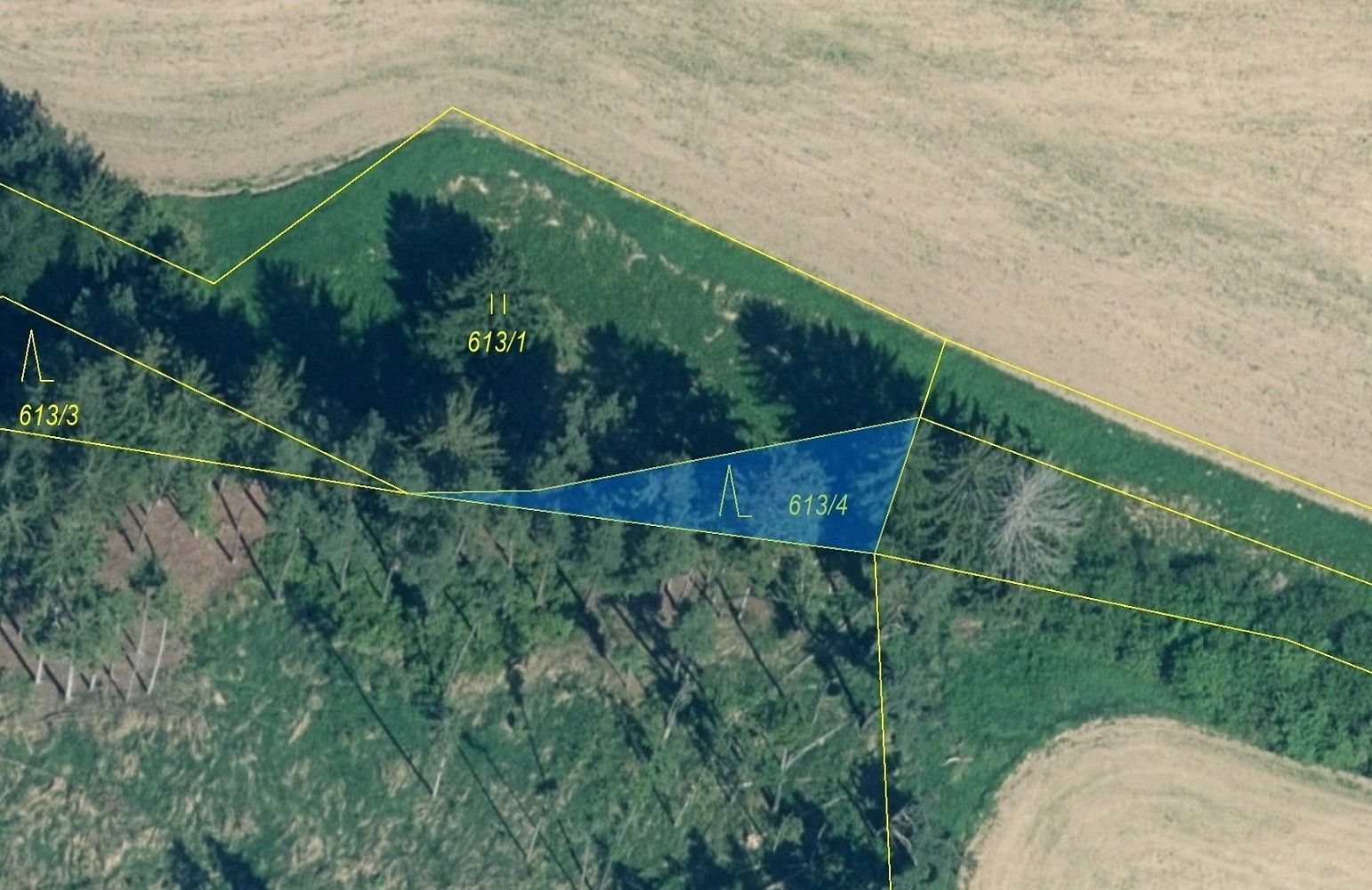 Les · Záboří, okres Strakonice, Jihočeský kraj - 2