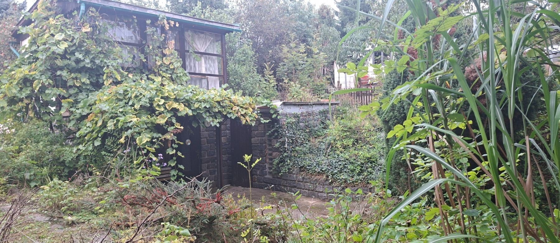 Prodej chata - Na Pučálce, Praha - Dejvice, 24 m² - 5