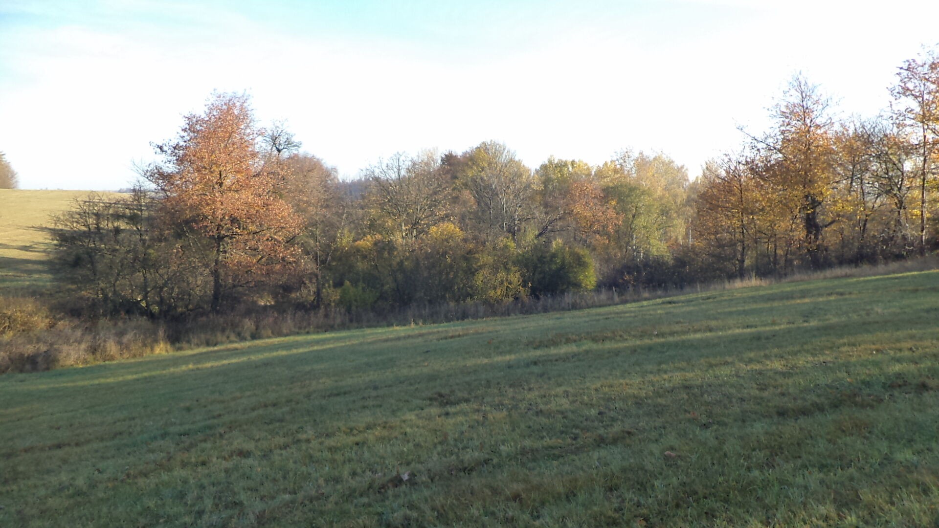 Prodej louka - Budišov nad Budišovkou, 60 778 m² - 5