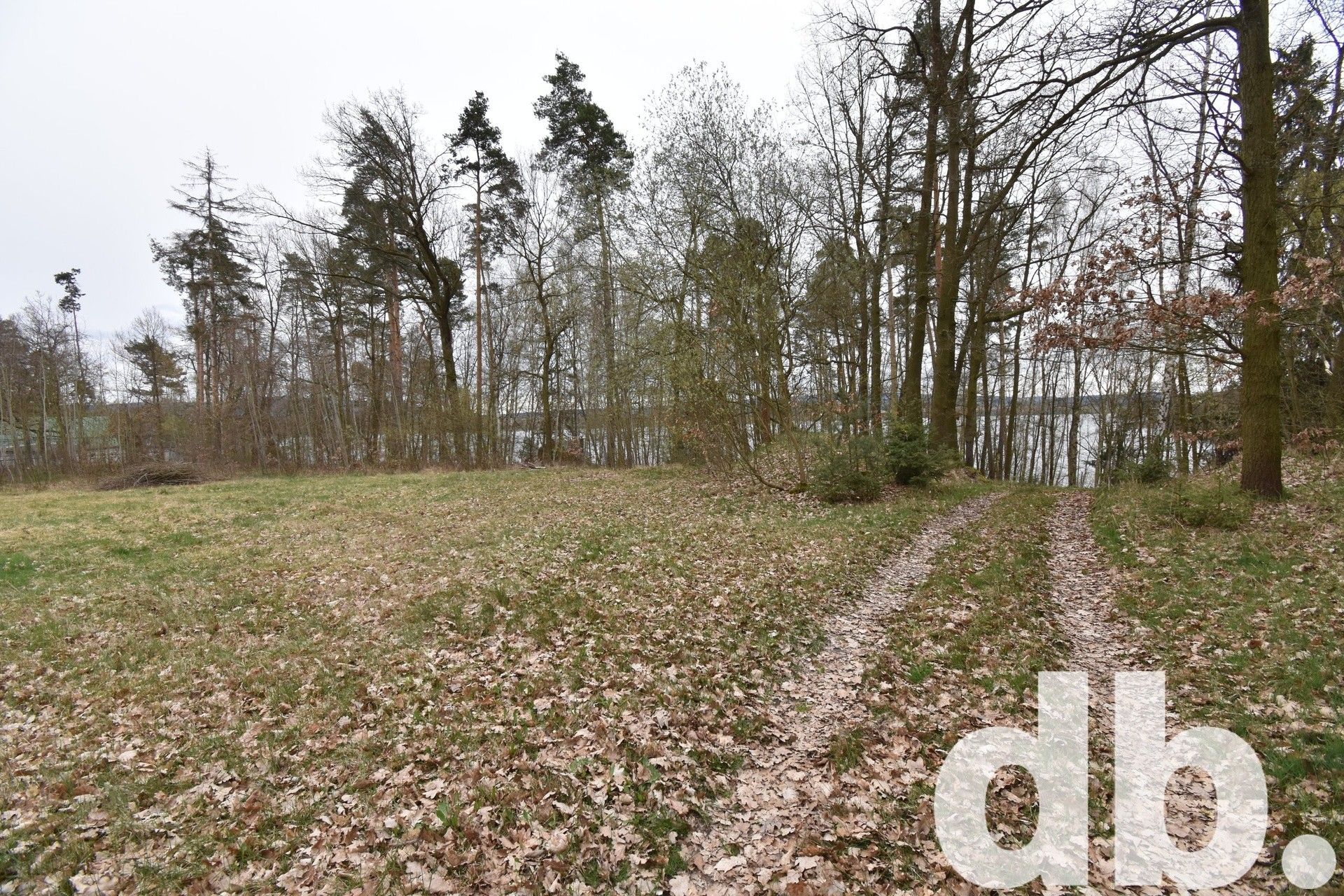 Komerční pozemky, Dřenice, Cheb