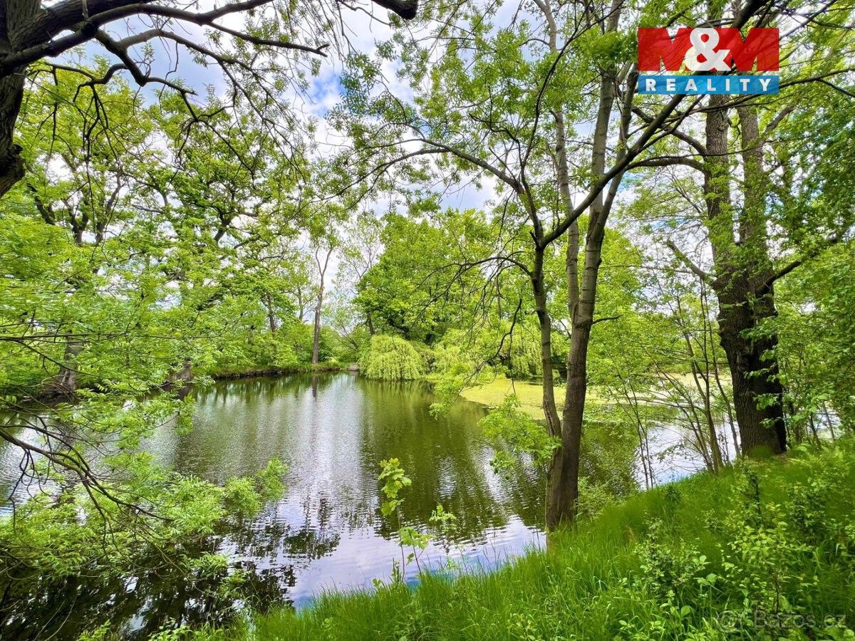 Prodej pozemek pro bydlení - Žulová, 790 65