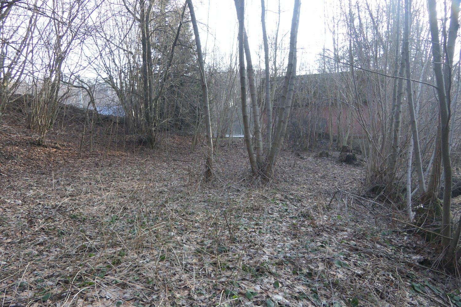 Ostatní, Hamr na Jezeře, okres Česká Lípa - 1