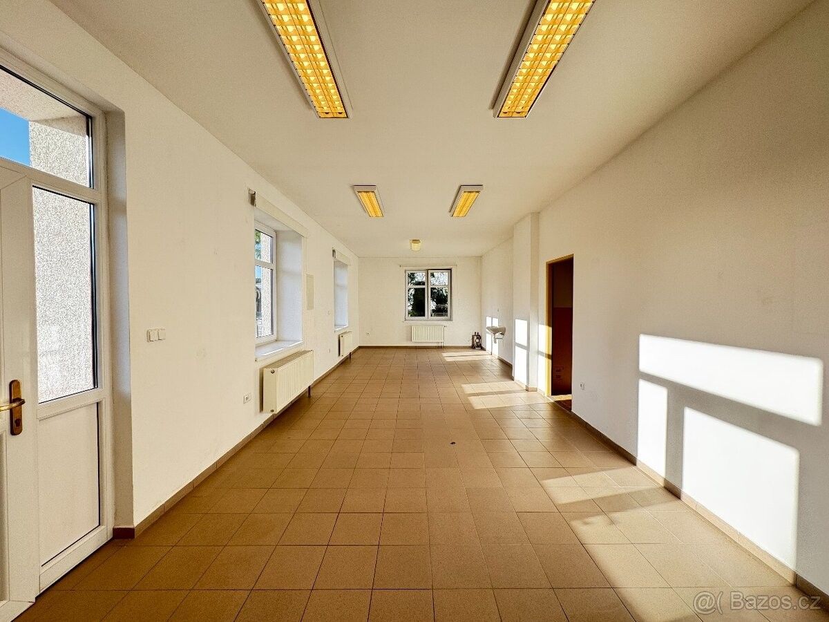 Obchodní prostory, Miřetice u Hlinska, 539 55 - 2