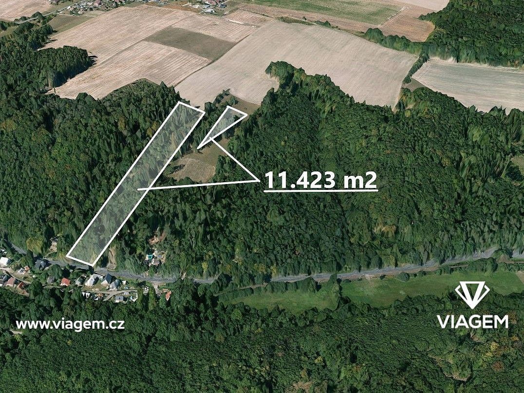 Lesy, Horní Lhota, okres Ostrava-město, Moravskoslezský kraj - 1
